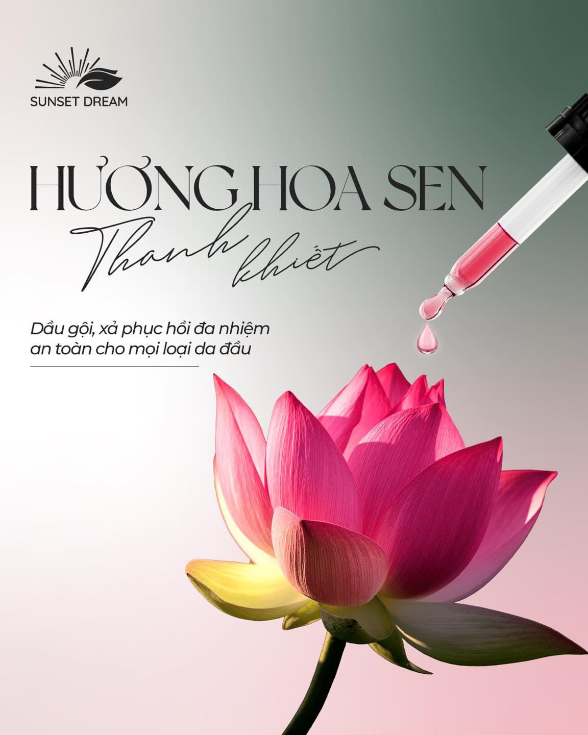 Tại sao Sunset Dream lựa chọn Sen làm dầu gội thảo dược? 